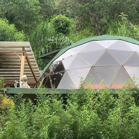 Appartamento Magic Elf Glamping Mindo Esterno foto