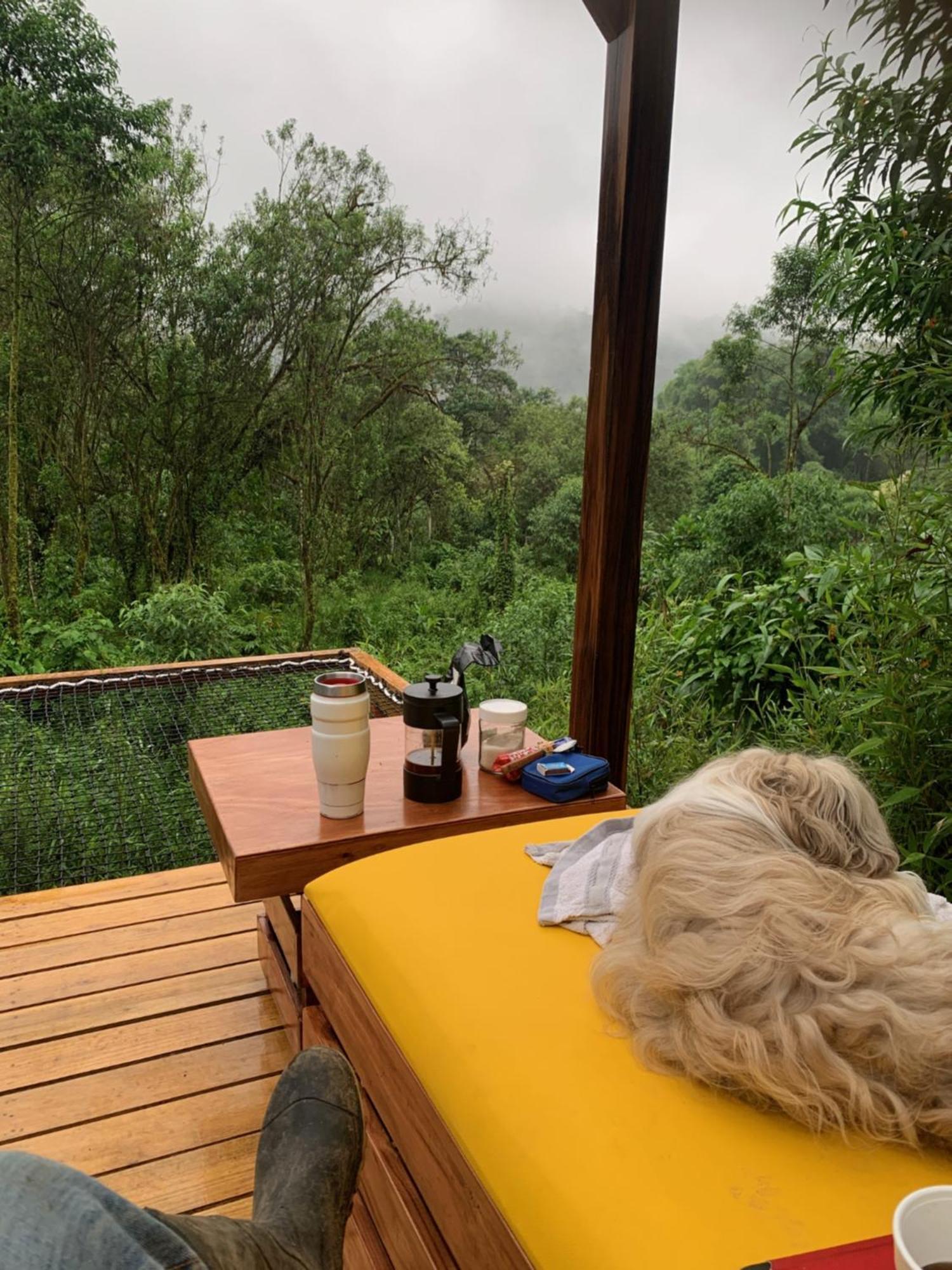 Appartamento Magic Elf Glamping Mindo Esterno foto